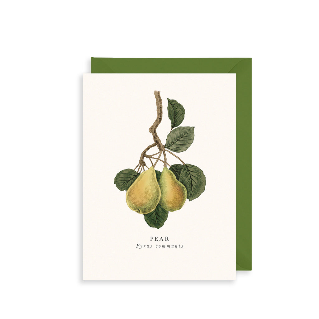 Pear Greetings Card The Art File