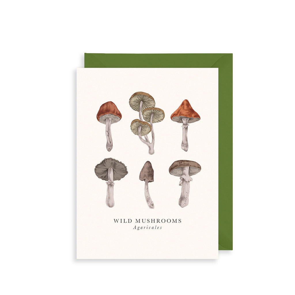 Mushroom Pattern Greetings Card The Art File