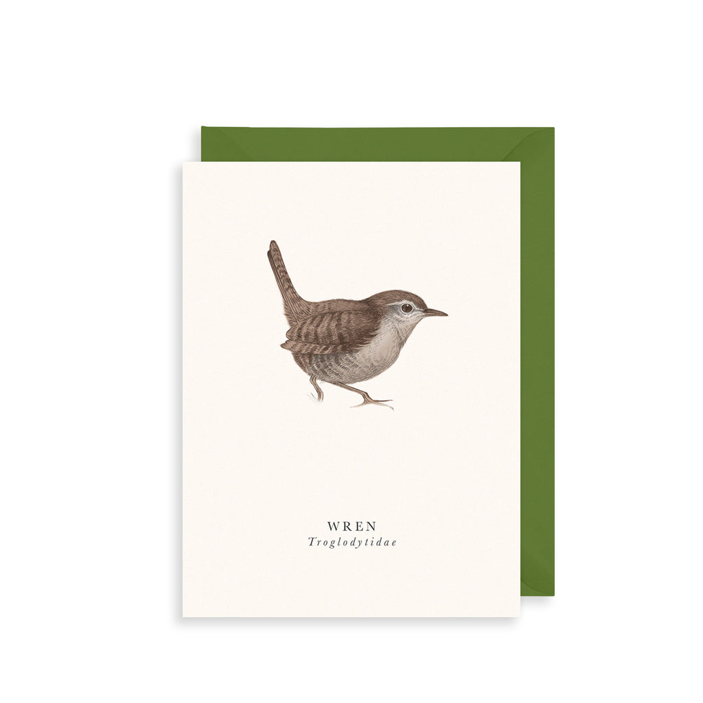 Wren Greetings Card The Art File