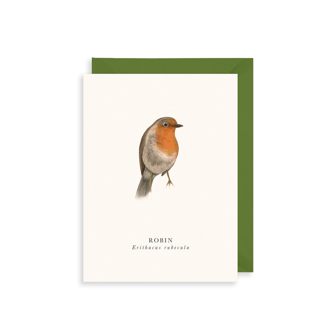 Robin Greetings Card The Art File