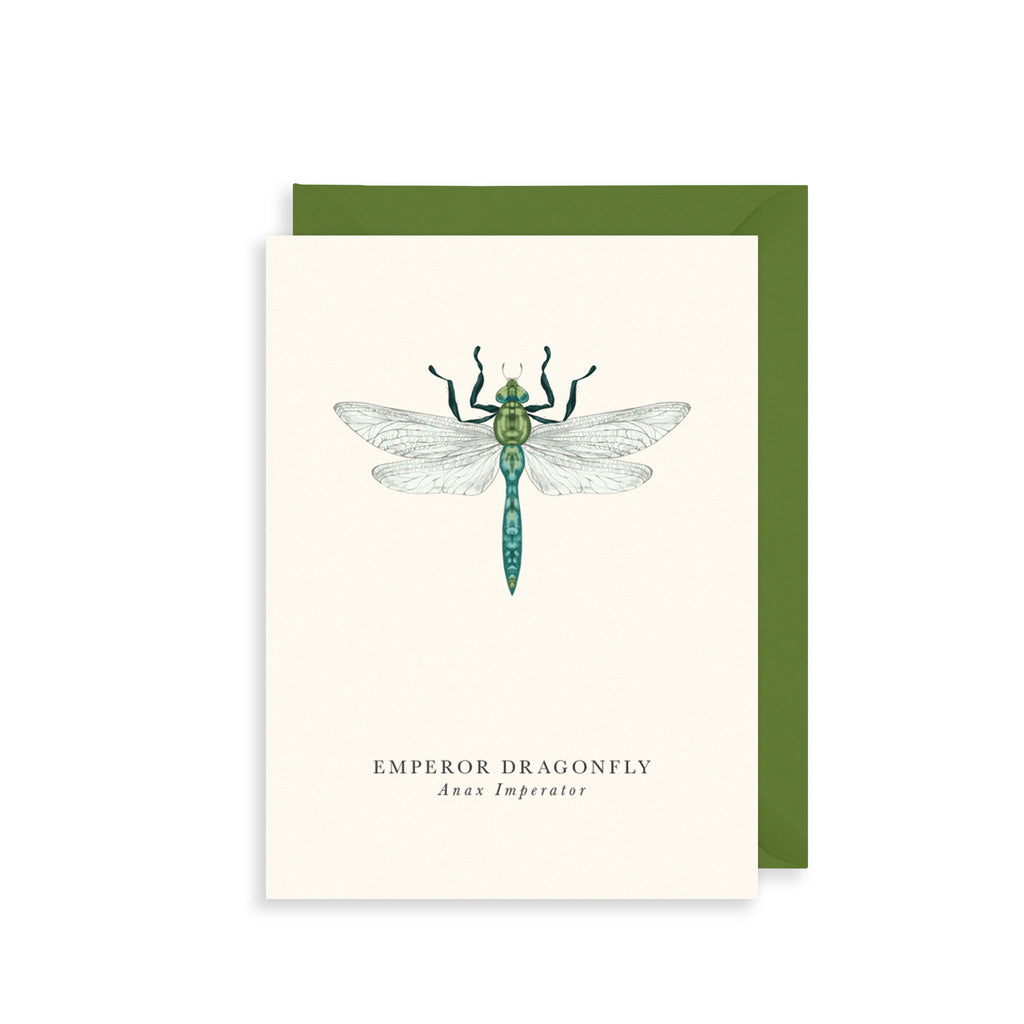 Emperor Dragonfly Greetings Card The Art File