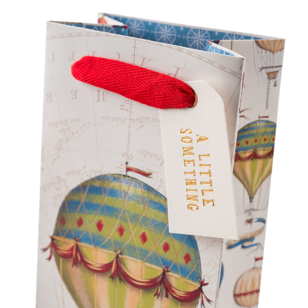 Balloons Bottle Bag The Art File