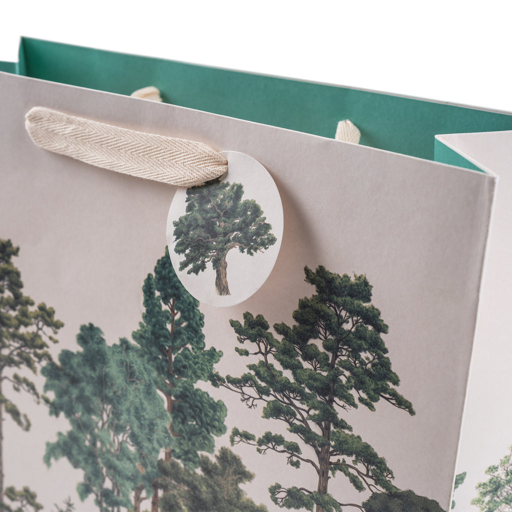 Major Oak, Large Landscape Gift Bag The Art File