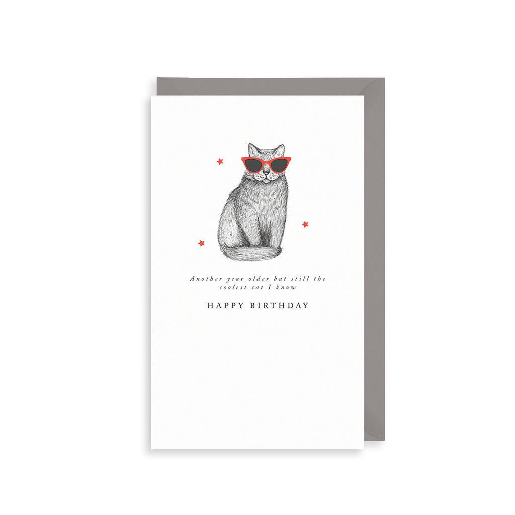 Coolest Cat Greetings Card The Art File