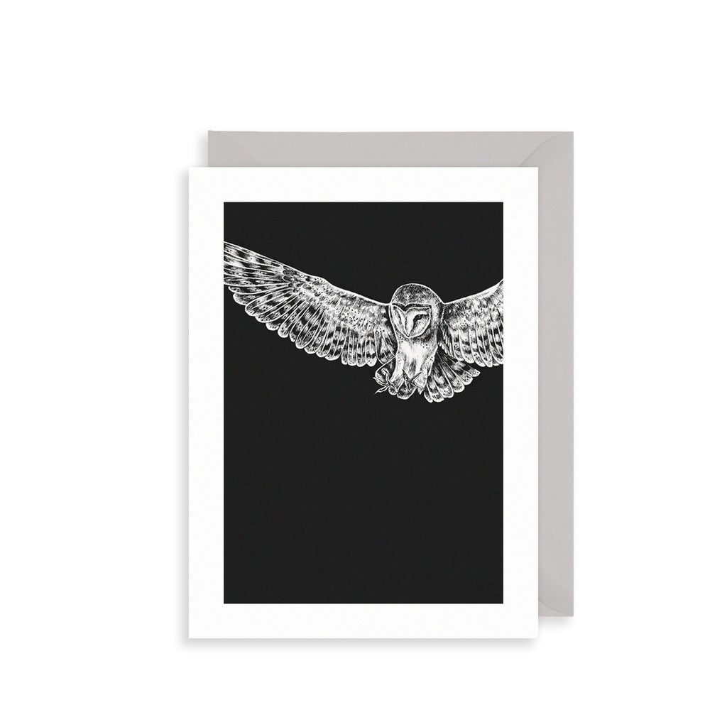 Barn Owl Greetings Card The Art File