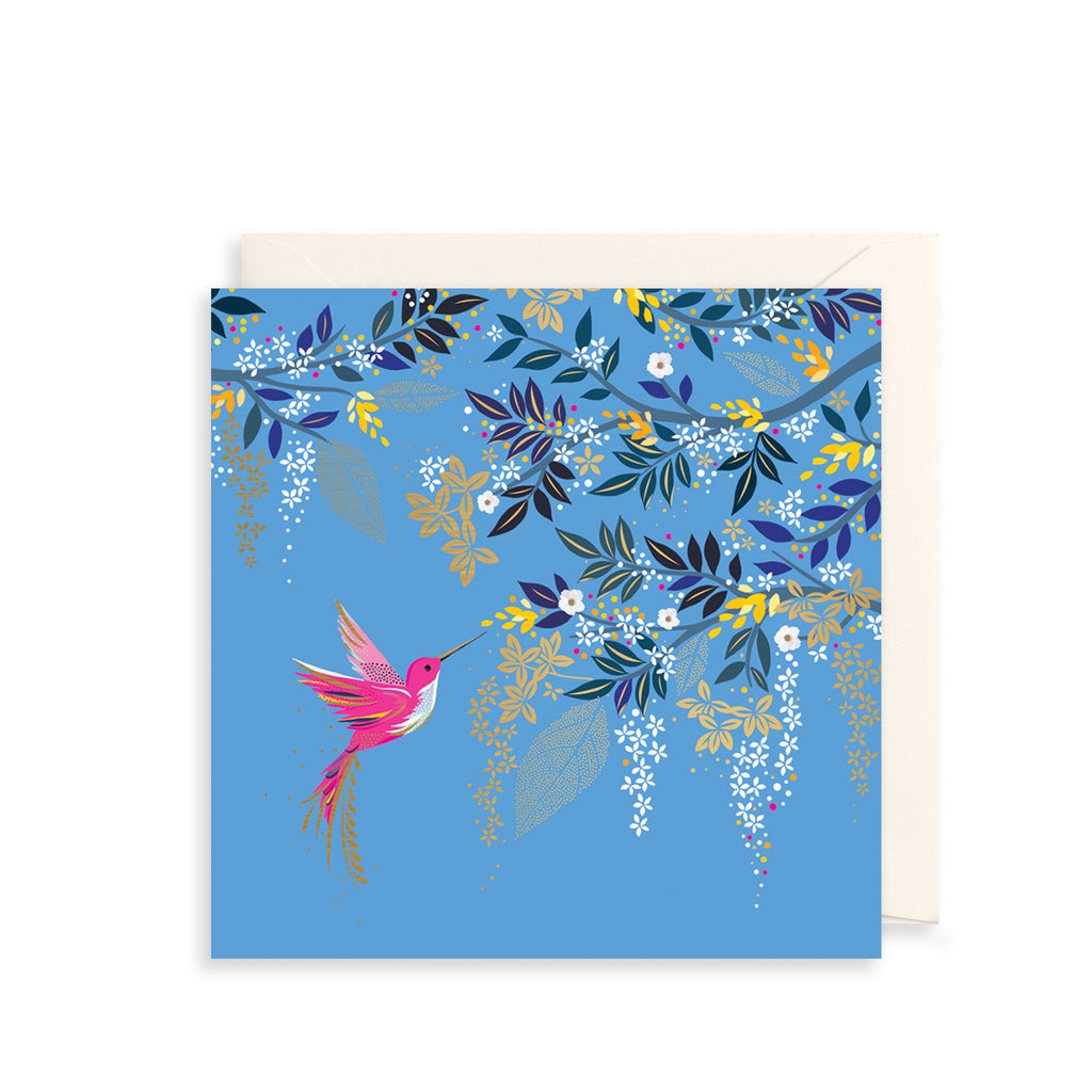 Hummingbird Flight Greetings Card The Art File