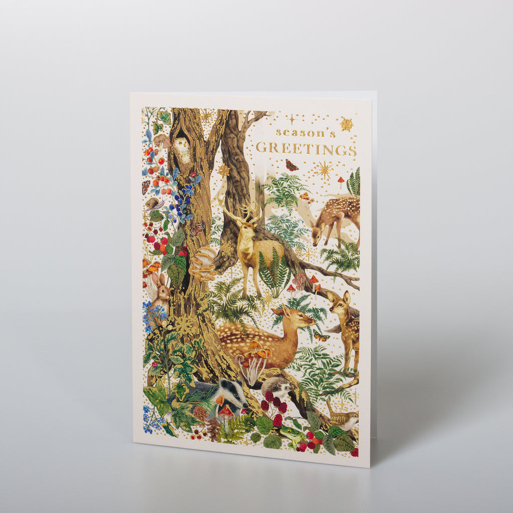 Woodland Animals Christmas Card The Art File