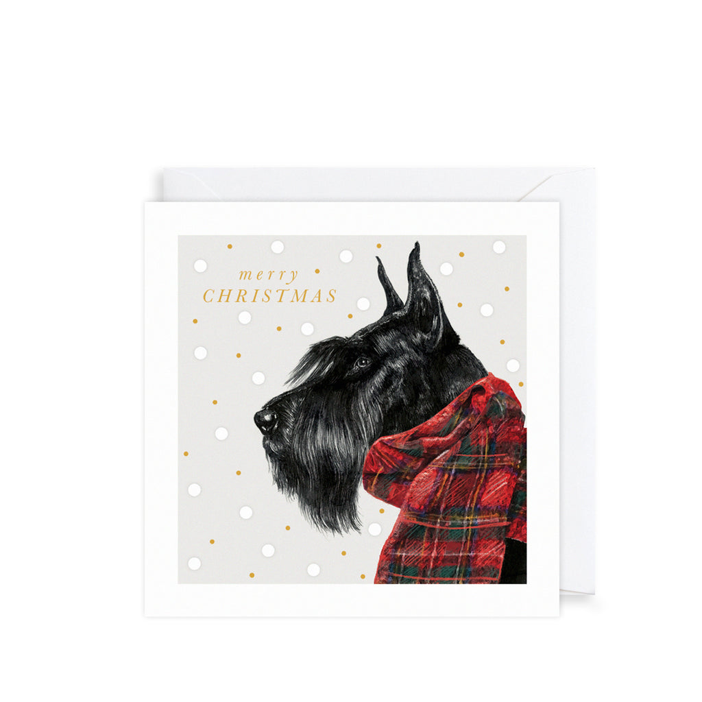 Tartan Dog, Christmas Charity Cards The Art File