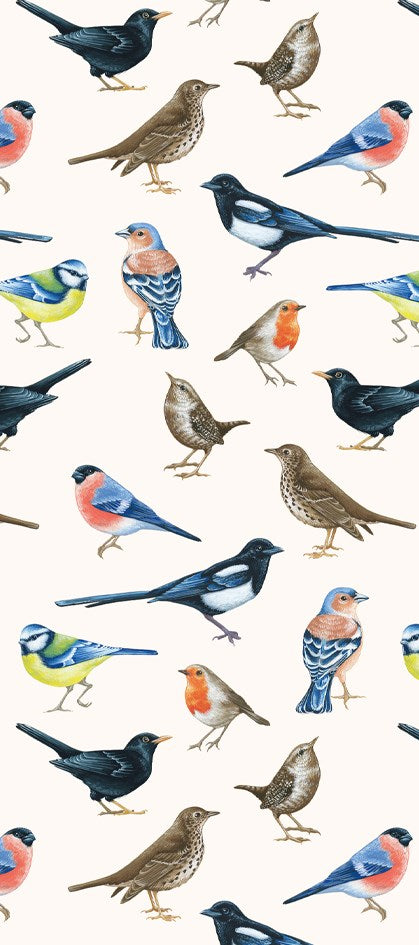 British Birds Tissue Paper The Art File