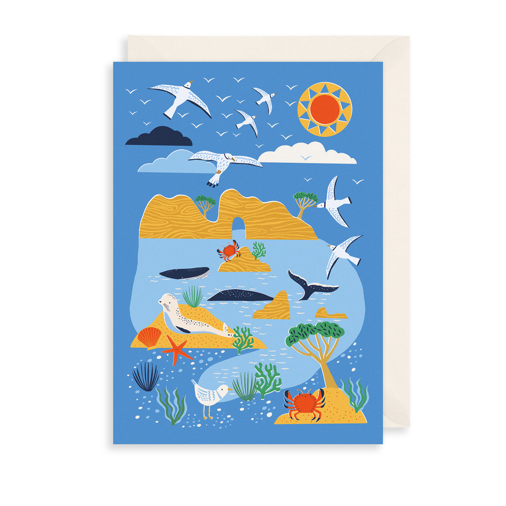 Seaside Animals Greetings Card The Art File